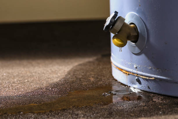  Covina, CA Water damage restoration Pros