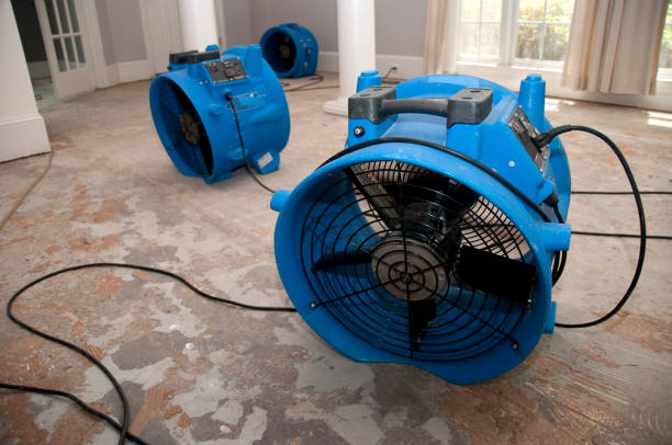 Best Water damage restoration experts  in Covina, CA