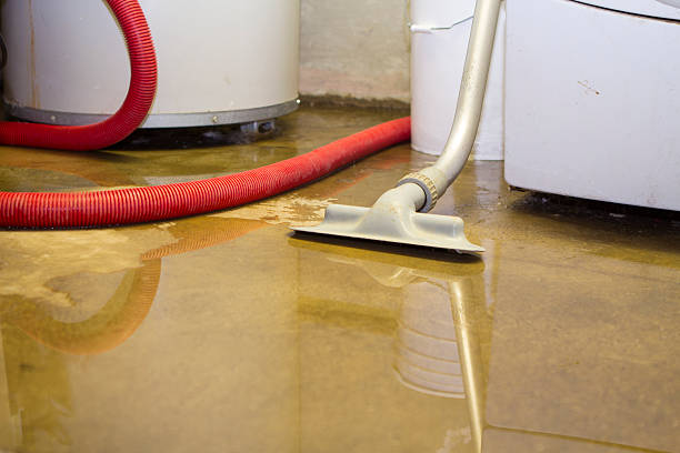 Best Water damage restoration near me  in Covina, CA