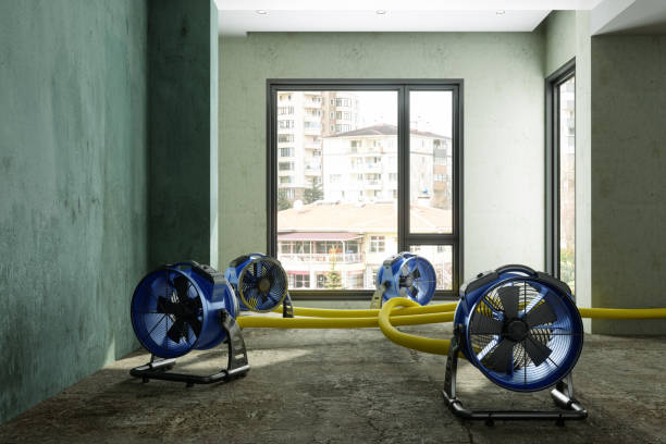 Best Sewage cleanup and water damage restoration  in Covina, CA